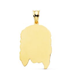 18K Colgante Oro Amarillo Cabeza De Cristo Estampado. 30X19 Mm