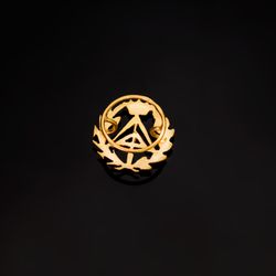 18K Insignia Oro Amarillo Aparejador ( Arquitecto Tecnico )16 X 15 Mm