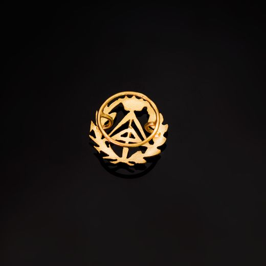 18K Insignia Oro Amarillo Aparejador ( Arquitecto Tecnico )16 X 15 Mm
