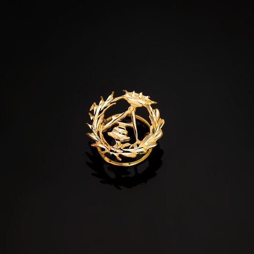18K Insignia Oro Amarillo Arquitectura. 16 X 16 Mm