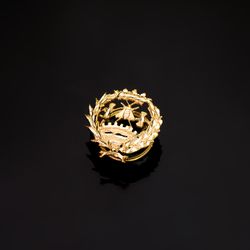 18K Insignia Oro Amarillo Ciencias Economicas 18 X 17 Mm