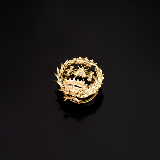 18K Insignia Oro Amarillo Ciencias Economicas 18 X 17 Mm