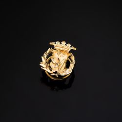 18K Insignia Oro Amarillo Ciencias Exactas ( Matematicas ) 17 X 14 Mm
