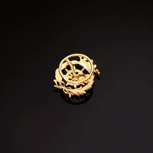 18K Insignia Oro Amarillo Ciencias Politicas 17 X 14 Mm