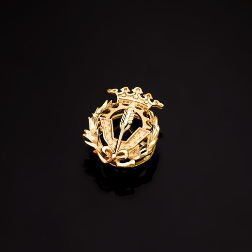 18K Insignia Oro Amarillo Ciencias Politicas Y Economicas 18 X 14 Mm