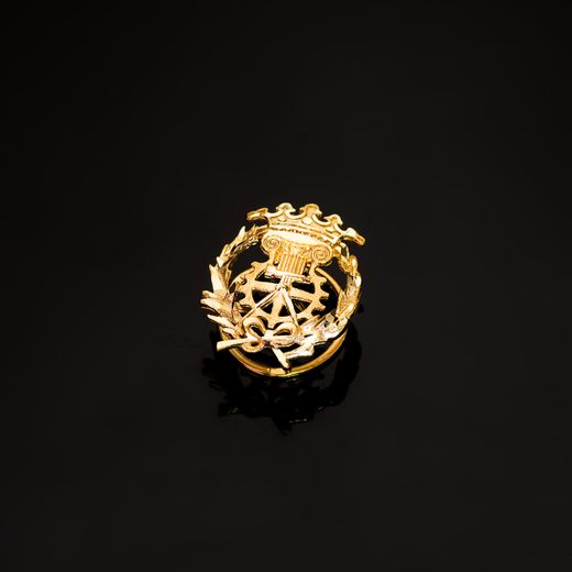 18K Insignia Oro Amarillo Delineante 17 X 14 Mm