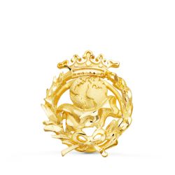 18K Insignia Oro Amarillo Geografia 17 X 14 Mm