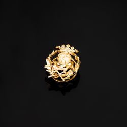 18K Insignia Oro Amarillo Geografia 17 X 14 Mm