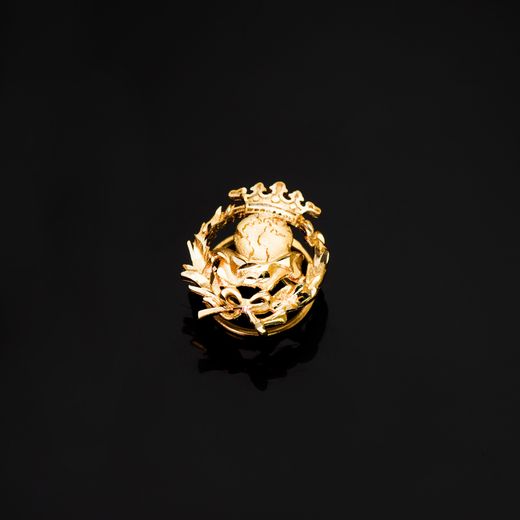18K Insignia Oro Amarillo Geografia 17 X 14 Mm