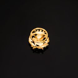 18K Insignia Oro Amarillo Geografia 17 X 14 Mm
