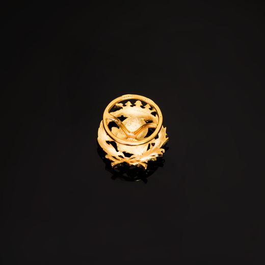18K Insignia Oro Amarillo Geografia 17 X 14 Mm