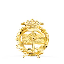 18K Insignia Oro Amarillo Geologicas 17 X 14 Mm