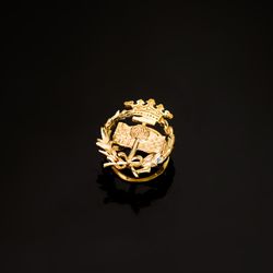 18K Insignia Oro Amarillo Geologicas 17 X 14 Mm