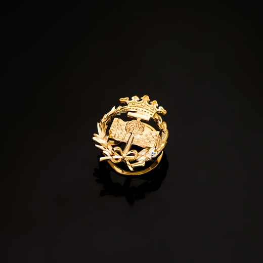 18K Insignia Oro Amarillo Geologicas 17 X 14 Mm