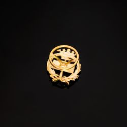 18K Insignia Oro Amarillo Geologicas 17 X 14 Mm