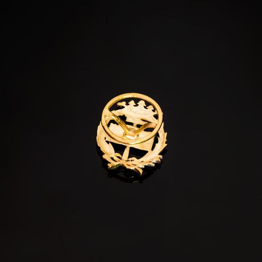 18K Insignia Oro Amarillo Geologicas 17 X 14 Mm