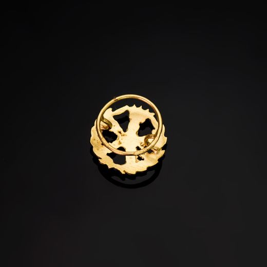 18K Insignia Oro Amarillo Ingeniero Aeronautico ( Aeroespacial ) 15 X 15 Mm