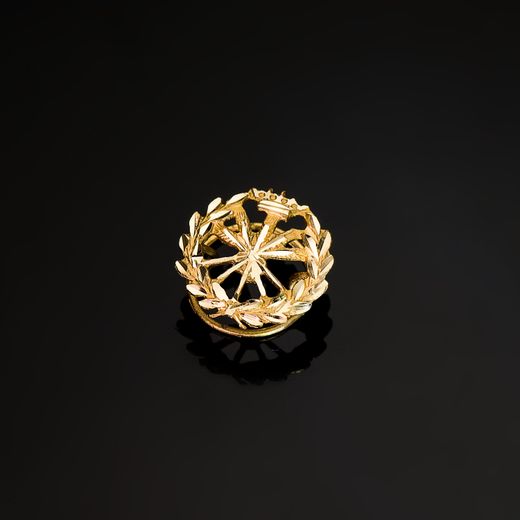 18K Insignia Oro Amarillo Ingeniero Agronomo. 15 X 15 Mm