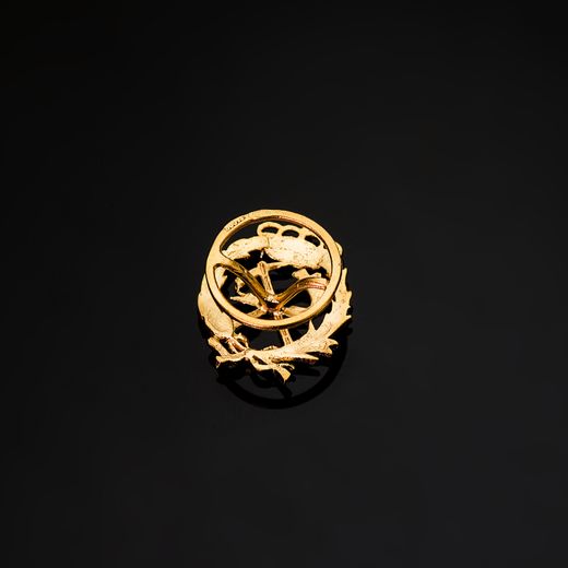 18K Insignia Oro Amarillo Ingeniero De Montes 17 X 14 Mm
