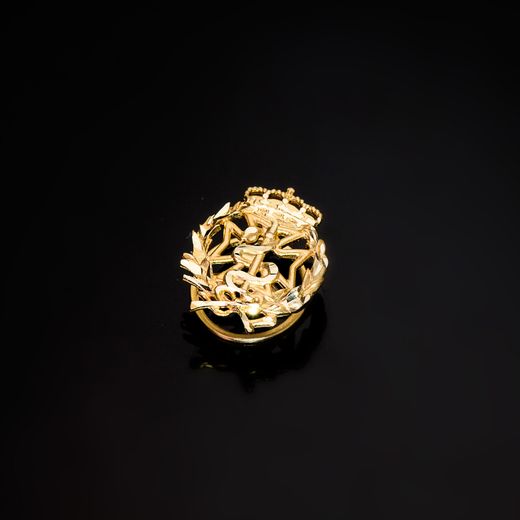 18K Insignia Oro Amarillo Odontologia 17 X 14 Mm