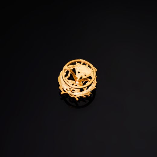 18K Insignia Oro Amarillo Odontologia 17 X 14 Mm