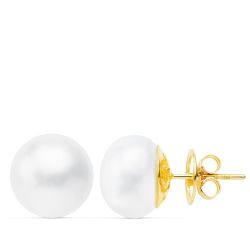 18K Pendientes Oro Amarillo Perla Cultivadas 12-13 Mm Cierre Presion