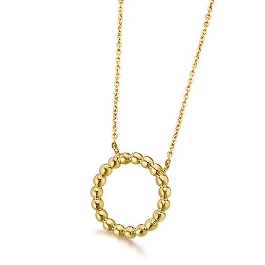 Colllar oro con círculo de oro